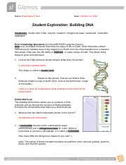 Gizmo student exploration building dna answer key. Building Dna Gizmo Completed Name Date Student Exploration Building Dna Vocabulary Double Helix Dna Enzyme Mutation Nitrogenous Base Nucleoside Course Hero