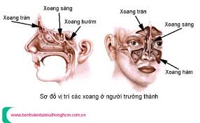 Xoang Zoha có thật sự hiệu quả không