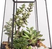 NCYP Geopend geometrisch glazen terrarium voor vetplanten, luchtplanten -  16,5 x 14,5 x 25 cm - onregelmatige glazen plantenbak - indoor tuin ...