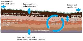 Designations are provided for layers that have been changed by soil formation and for those that. What Are Soils Learn Science At Scitable