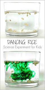 Baking Soda And Vinegar Science Dancing Rice Science Experiments Kids Cool Science Experiments Science For Kids