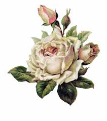 Rosewhite Rosablanca Tumblr Aesthetic 796528 Png Images Pngio See more of tumblr aesthetic on facebook. rosewhite rosablanca tumblr