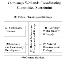 Image result for Habenaria pasmithii