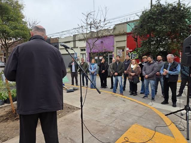Olivo por la paz