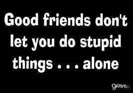 I Am A Great Friend Stupid Quotes Funny Advice Funny Advice Quotes