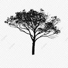 Black And White Candy Png Tree Vector Black And White Tree Icons Black Icons White Icons Png Transparent Clipart Image And Psd File For Free Download Black And White Tree Tree Clipart Tree Icon