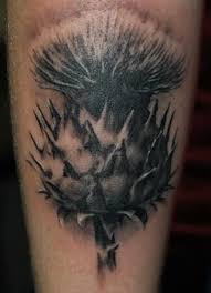 Black And Grey Realism Tattoo Artists Scotland Google Image Result For Http Www Whitetigertattoo Com Artists Guest Resources L 0a5b760bed444f89bf4d4 Scottish Tattoos Thistle Tattoo Scottish Thistle Tattoo