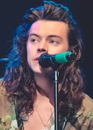 Harry's hair is getting longer and this is why we're all excited. Inanis Harry Styles Long Hair