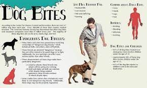 Check spelling or type a new query. Pin On Pets