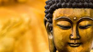 What the buddha taught by the author dr. The 5 Best Books On Buddhism To Enlighten Your Life Ism Book
