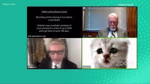 A video of rod ponton appearing as a cat during a virtual court session has been viewed millions of times online. Must Watch Lawyer Accidentally Uses Cat Filter On Zoom Youtube