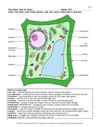 Learn more about characteristics features of plant cells, parts of a plant cells at vedantu.com and. Plant Cell Color Page Worksheet And Quiz Ce 2 Cell Lesson Plans Plant Cell Plant Cell Lesson
