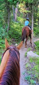 Whether you're an experienced rider or you've never been horseback riding before, you'll lay eyes on historical and breathtaking sights during your unforgettable led by our equestrian in chief, jackie kecskes, or her head wrangler, this exhilarating ride takes you deep into montana's big sky country. Best Of Big Sky Montana 2 Travel Dads