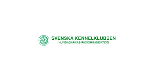 Svenska kennelklubben is a swedish organization dedicated to purebred dogs, and dog owners. Svenska Kennelklubben Hundagarnas Riksorganisation Mynewsdesk