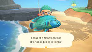 Animal crossing does not show you exactly which fish is which but, an eel is very long looking as a shadow in the river and comes out in summer. How To Catch Napoleonfish In Animal Crossing New Horizons Allgamers