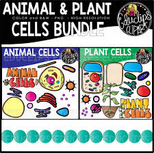 We did not find results for: Animal And Plant Cells Clip Art Bundle Edu Clips