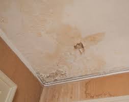 Check spelling or type a new query. London Ceiling Damp Treatment Repair Southern Damp Proofing