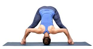 Place the hands on the yoga mat right next to your feet. Standing Wide Legged Forward Bend What Are Our Intentions