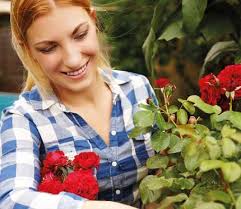 Kinder- Erlebnistour im Egon Schiele- Geburtshaus