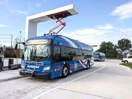 Image result for Electric Blue 2018 Fleet