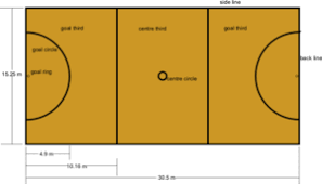 Each of the positioners can be immediately delivered with standard configuration or can be prepared in a special. Netball Wikipedia