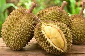 20:43 pandangan saya tentang varieti ini? 19 Jenis Buah Durian Unggul Paling Enak Dan Banyak Digemari