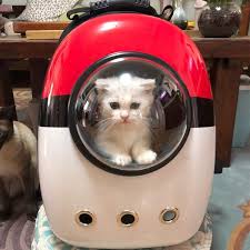 Find great deals on ebay for pet backpack capsule. Se15 Portable Breathable Space Capsule Bubble Pet Carrier Backpack Space Capsule Pet Bag Cat Backpack Out Portable Backpack Cat Chest Bag Slippery Cat Cage Dog Backpack Wish