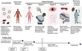 Image result for Lassa Fever