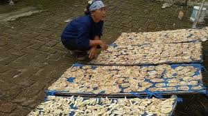 Cukup pilih paket yang sesuai dengan ukuran bisnis anda. Pengrajin Babanggi Senang Harga Sale Pisang Setengah Jadi Naik Bantu Ekonomi Keluarga Saat Pandemi Tribun Jabar