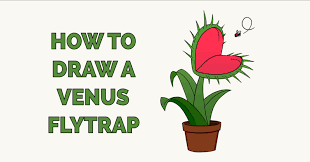 Check spelling or type a new query. How To Draw A Venus Flytrap Really Easy Drawing Tutorial