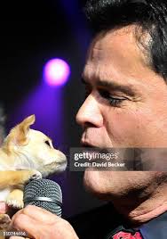 112 Young Marie Osmond Stock Photos, High-Res Pictures, and Images