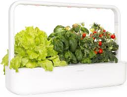 Here's a list of the 7 easiest vegetables to grow indoors in winter so you can enjoy fresh produce all year round. Amazon Com Click And Grow Smart Garden 9 Indoor Home Garden Includes 3 Mini Tomato 3 Basil And 3 Green Lettuce Plant Pods White Garden Outdoor