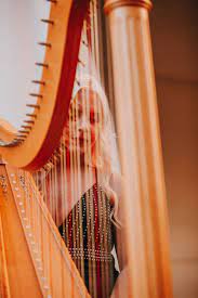 Florida Harpist Harp Photography Music Luxury Fashion Dress Style Lyon Healy Harpist Harp Wedding Musicians