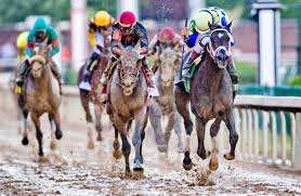 Preakness Stakes 2017 Possible Lineup
