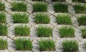 Pin Auf Garten