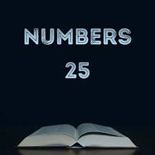 images?q=tbn:ANd9GcSzQ1_AIlva1fNFF6RM5W0bHykhFLAFhh8t5A&s