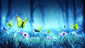 Kortom een perfecte combinatie om een mooie dameskaart mee te maken! Are Flower Fairies And Butterfly Fairies In Your Garden Askalana Com