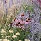 Free Garden Class: Bring on the blooms!