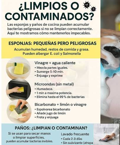 Salud - CÓMO MANTENER LIMPIAS TUS ESPONJAS Y PAÑOS DE COCINA. Evita focos de bacterias con estos métodos caseros y efectivos Estos dos elementos son esenciales en la cocina, pero también pueden