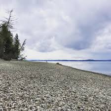 Harvesting Oysters Near Tacoma Pacific Northwest Best Life