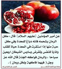 pin by najette zerrouki on islam food vegetables radish