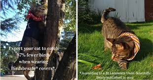 Birds Be Safe Collar From Birdsbesafe Com Birdsbesafe Cat Collar Covers That Save Birds From Cats Birds Flying Away Cat Collars Cats