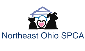 Our mission is to rescue, foster, and adopt companion animals in northeastern ohio. Pets For Adoption At Northeast Ohio Spca In Parma Oh Petfinder