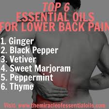 Pin On Aromatherapy Oils