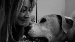 Kaley Cuoco left in 'gut-wrenching pain' as her beloved dog Norman dies