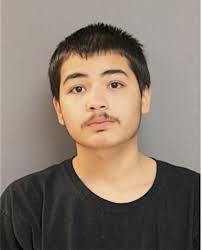 ᐅ Illinois Criminal Records 2009-2026