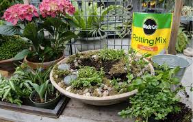 It does what it promises to do. Homedepot Com 25 Qt Bags Of Miracle Gro Potting Soil Only 5