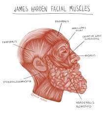 Unique james harden beard stickers designed and sold by artists. Artist Makes Nba Player James Harden S Beard His Muse
