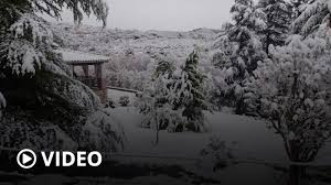 El centro de la capital de córdoba se cubrió de nieve. 19ieovlg61txvm