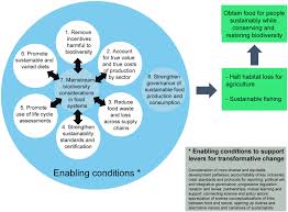 Actions On Sustainable Food Production And Consumption For The Post 2020 Global Biodiversity Framework